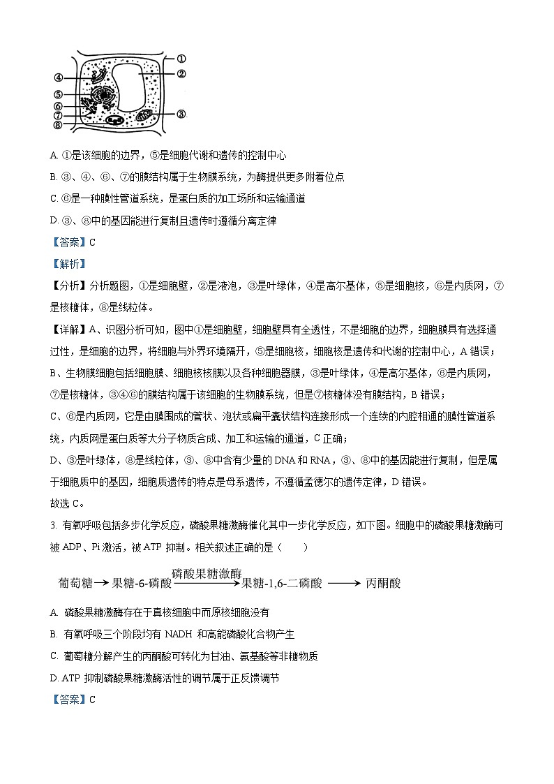 江苏省南通市海安市2024-2025学年高三上学期11月期中学业质量监测生物试题  Word版含解析第2页