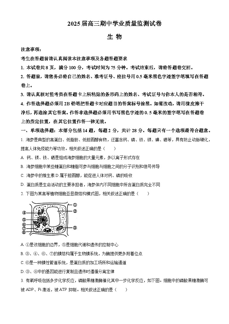 江苏省南通市海安市2024-2025学年高三上学期11月期中学业质量监测生物试题  Word版无答案第1页