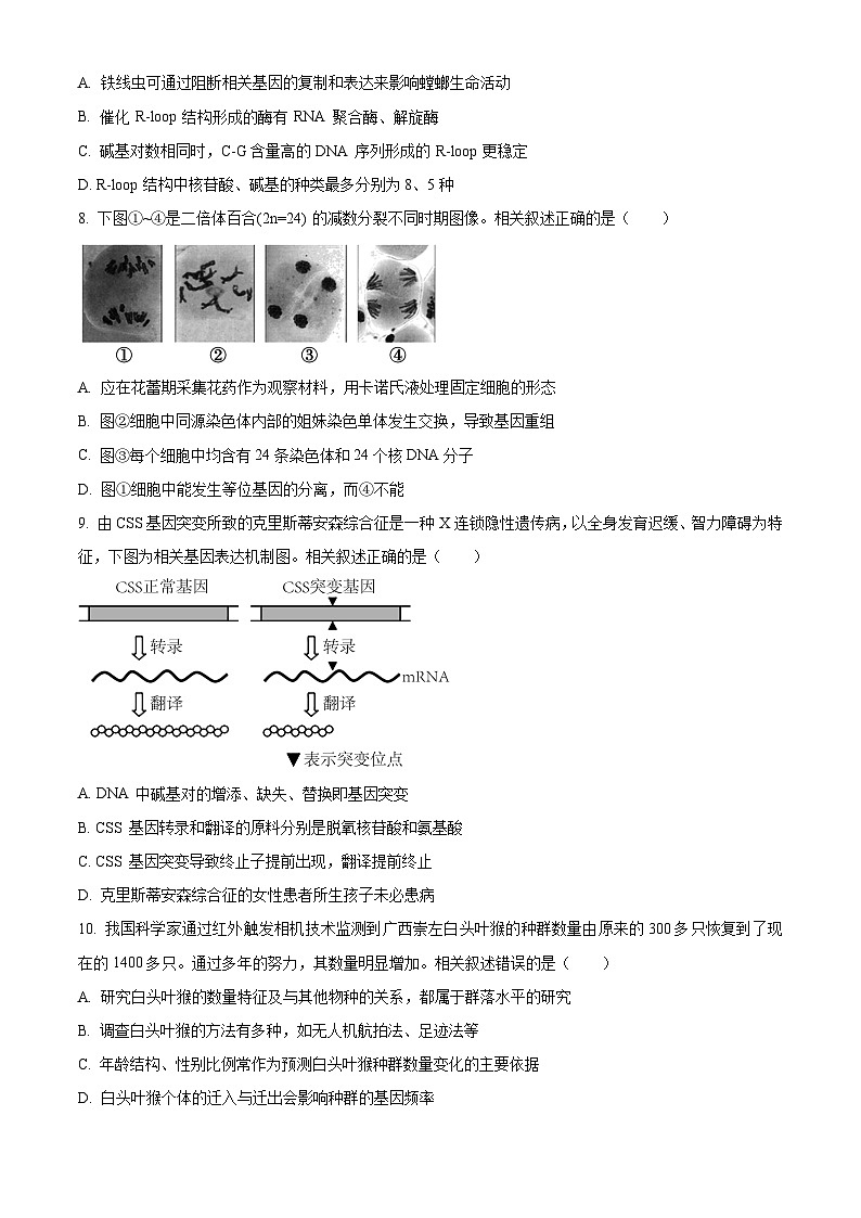 江苏省南通市海安市2024-2025学年高三上学期11月期中学业质量监测生物试题  Word版无答案第3页