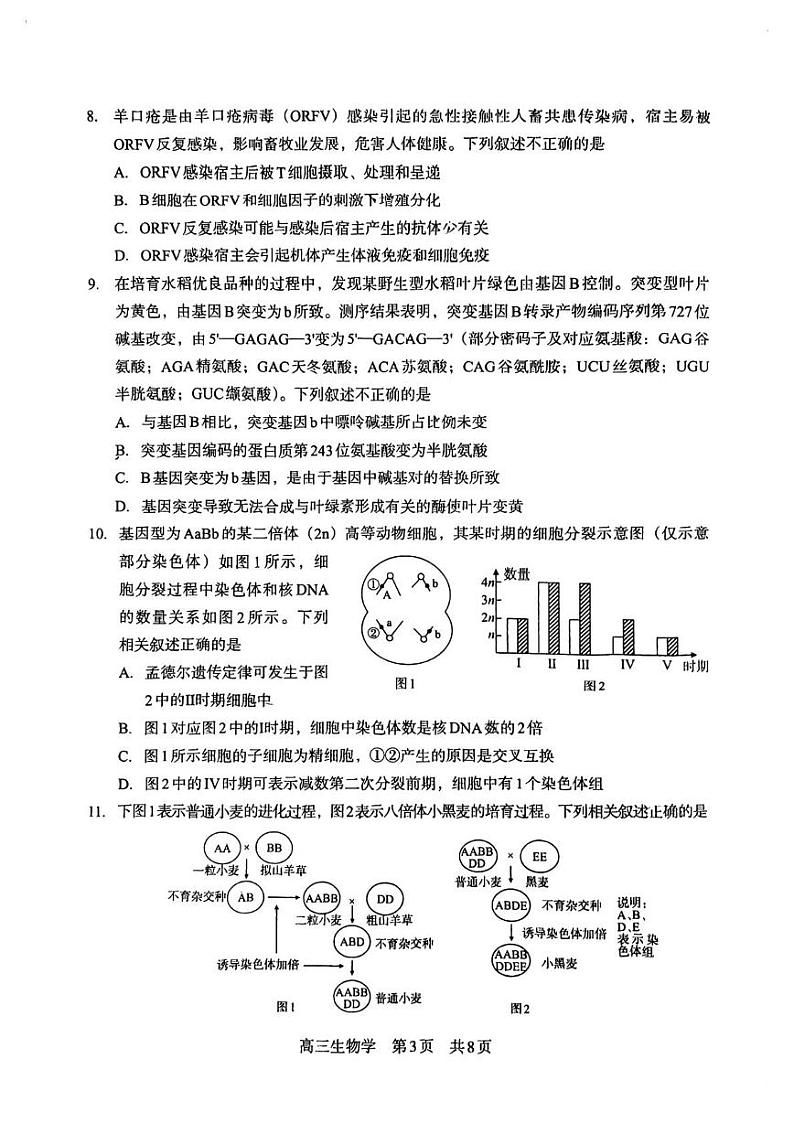 四川省攀枝花市2025届高三上学期第一次统一考试生物试卷（图片版）第3页