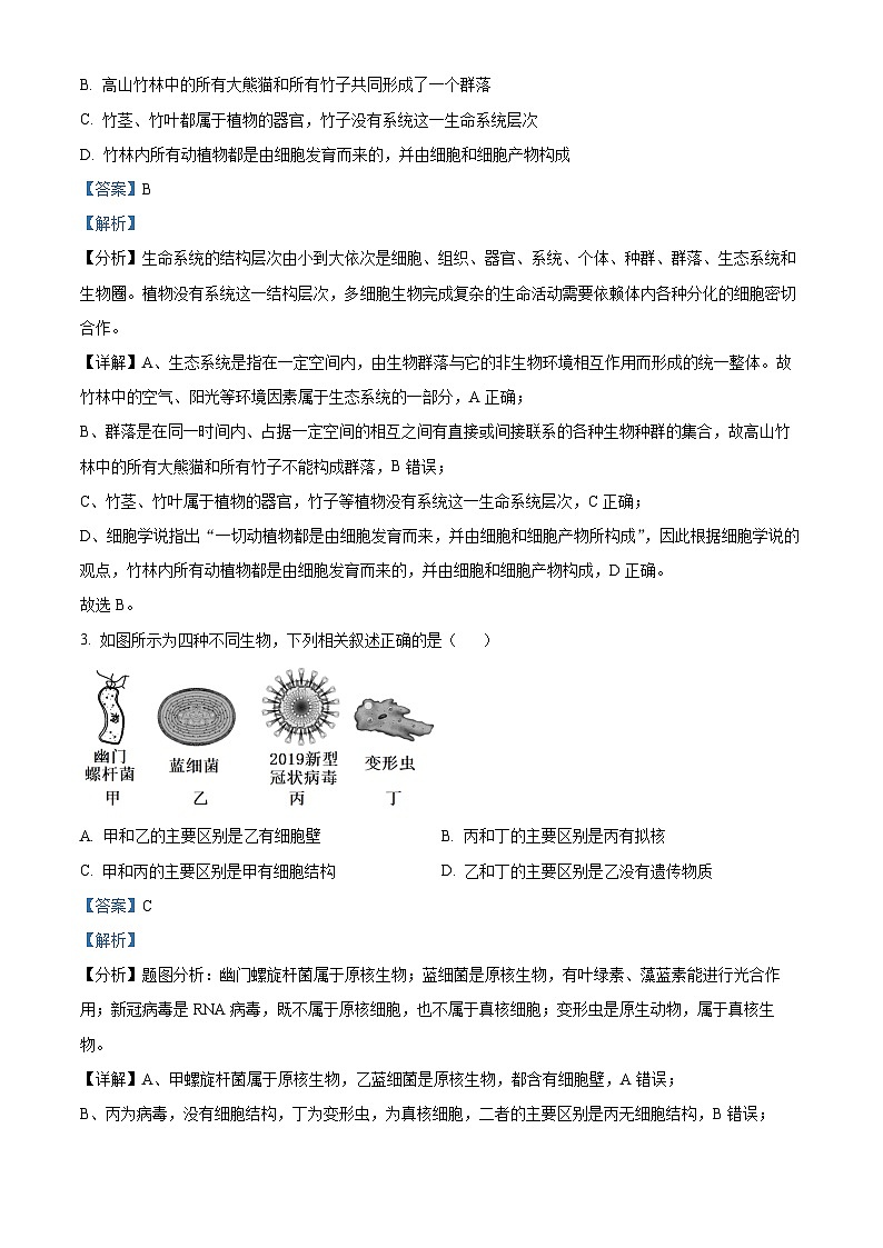 安徽省滁州市滁州九校联考2024—2025学年高一上学期期中考试生物试题  Word版含解析第2页