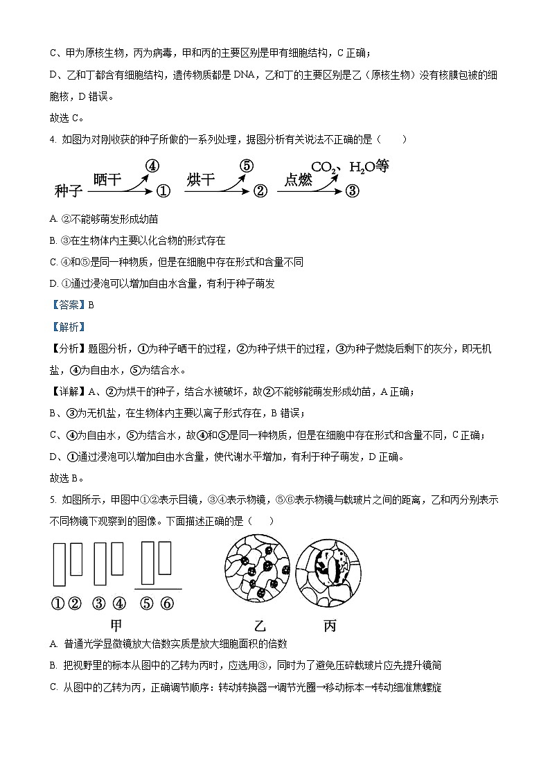 安徽省滁州市滁州九校联考2024—2025学年高一上学期期中考试生物试题  Word版含解析第3页