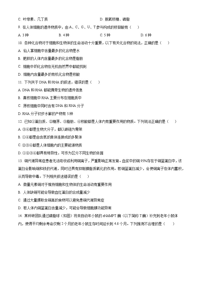 安徽省滁州市滁州九校联考2024—2025学年高一上学期期中考试生物试题  Word版无答案第3页