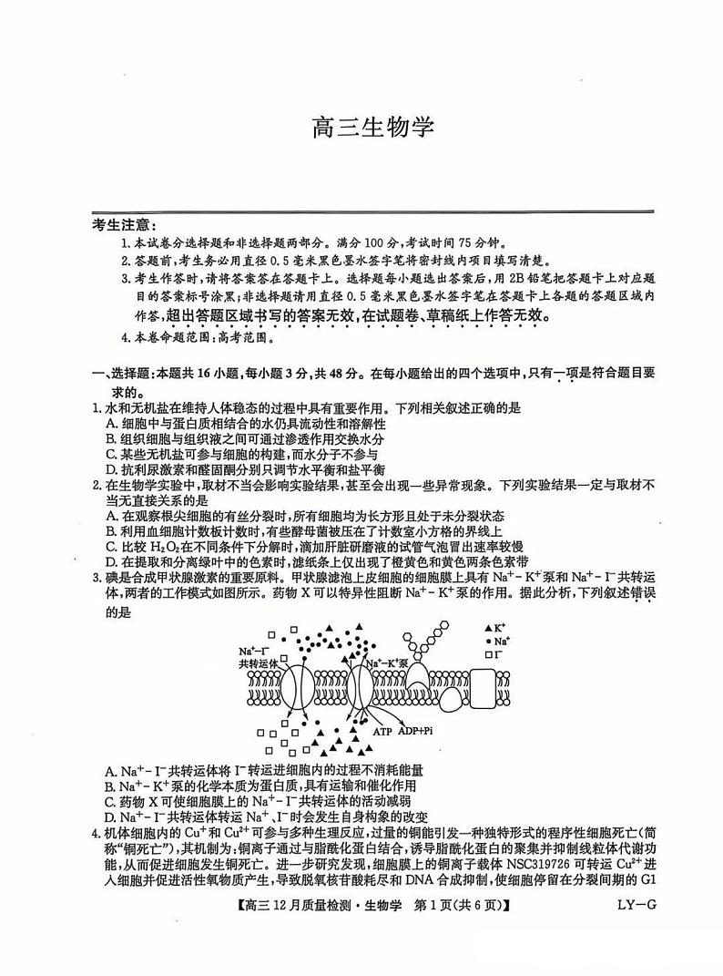 九师联盟河南2025届高三上学期12月质量检测生物试卷及答案第1页