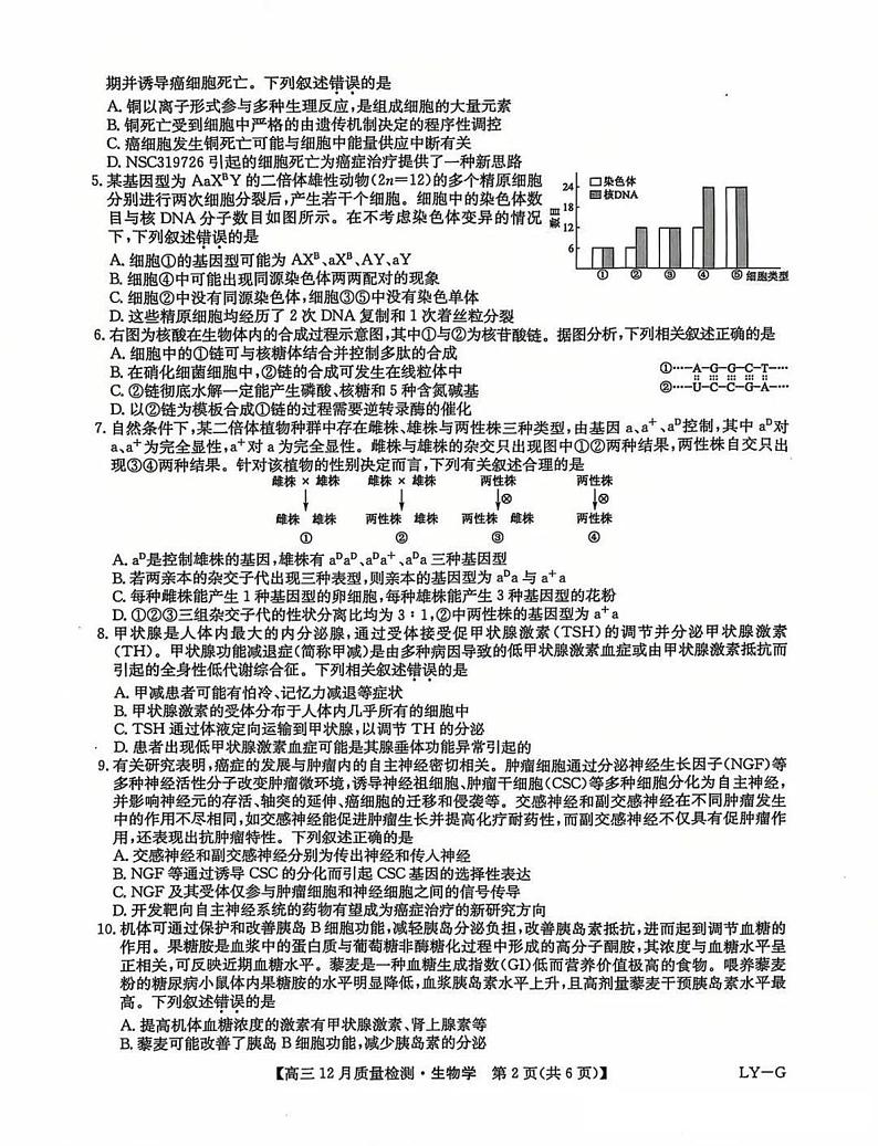 九师联盟河南2025届高三上学期12月质量检测生物试卷及答案第2页