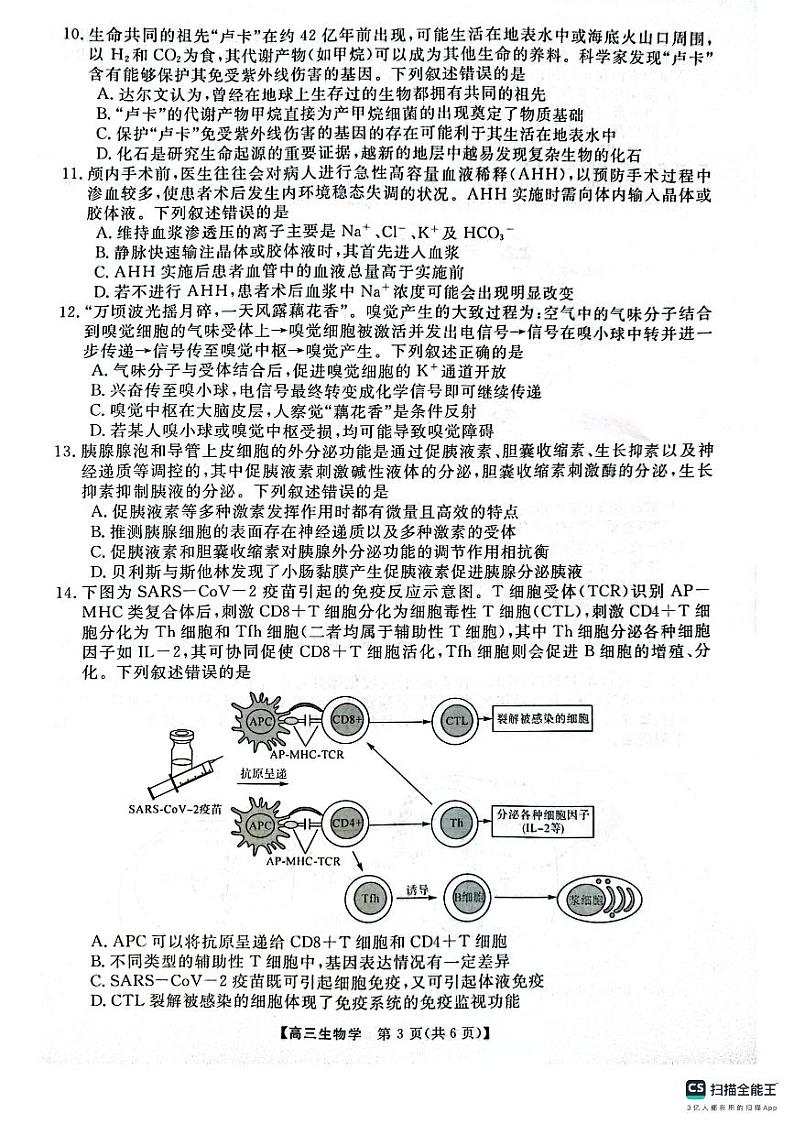 金科大联考河南2025届高三第一学期12月质量检测生物试卷及答案第3页