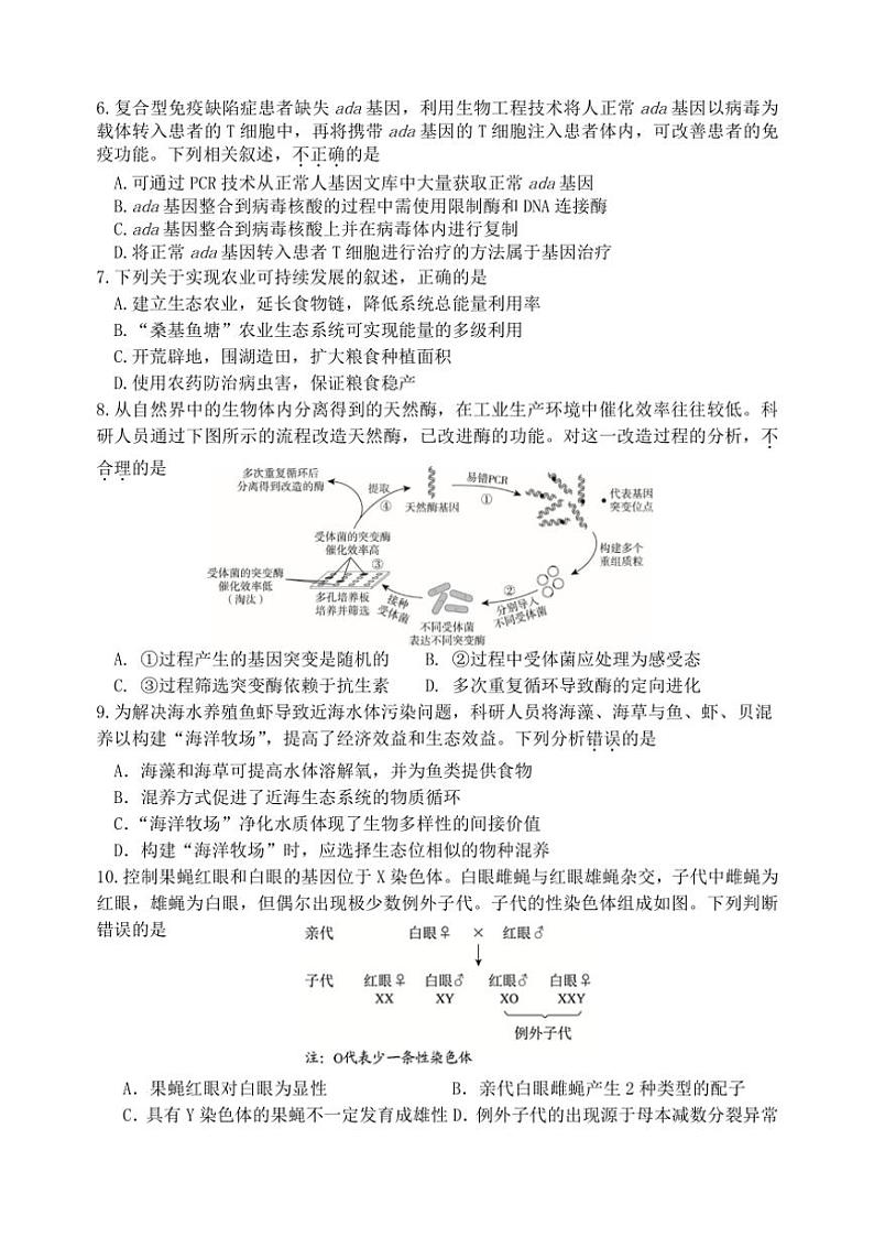 2024～2025学年北京市延庆区第一中学高三(上)12月月考生物试卷(含答案)第2页