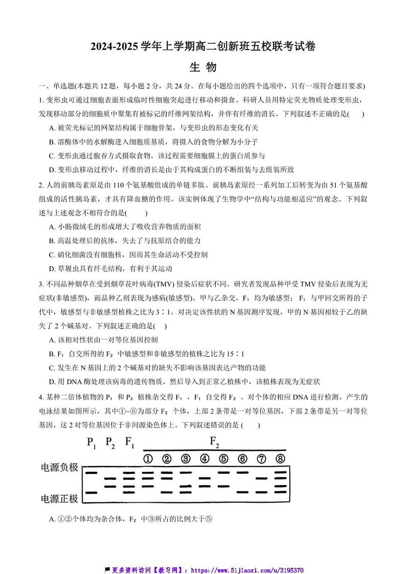 2024～2025学年江西省宜春市丰城市创新班五校高二(上)12月联考(月考)生物试卷(含答案)第1页