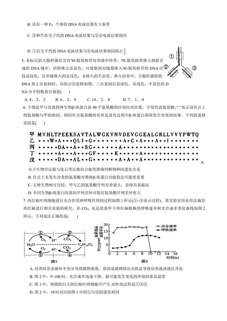 2024～2025学年江西省宜春市丰城市创新班五校高二(上)12月联考(月考)生物试卷(含答案)第2页