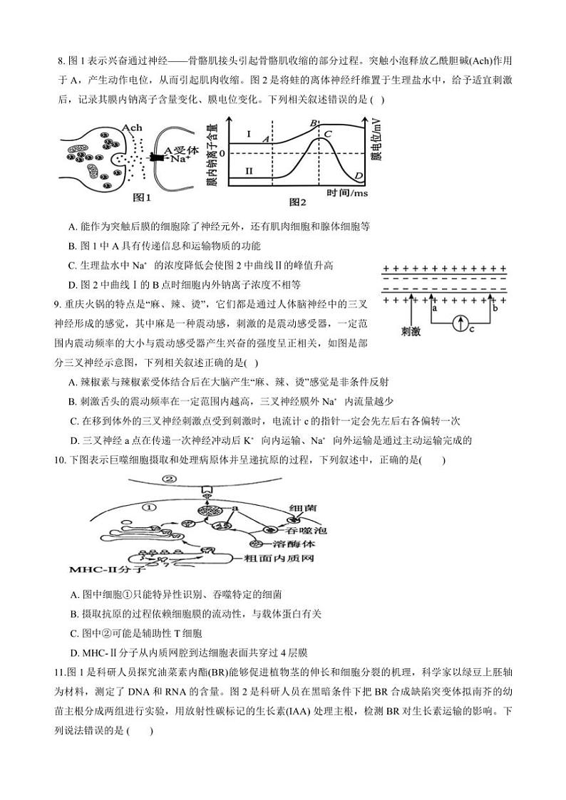2024～2025学年江西省宜春市丰城市创新班五校高二(上)12月联考(月考)生物试卷(含答案)第3页