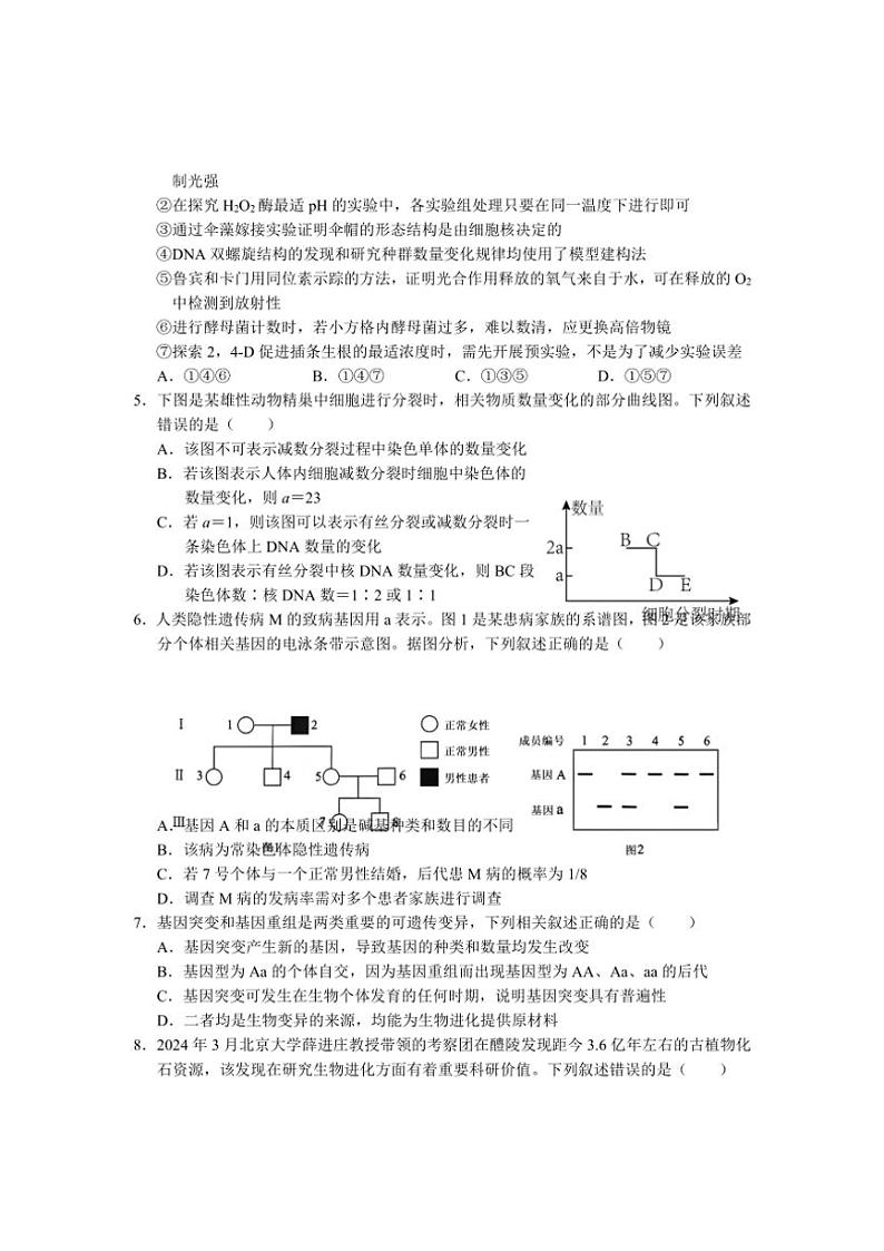 2024～2025学年云南省丽江市高三上复习统一检测(12月)生物试卷(含答案)第2页