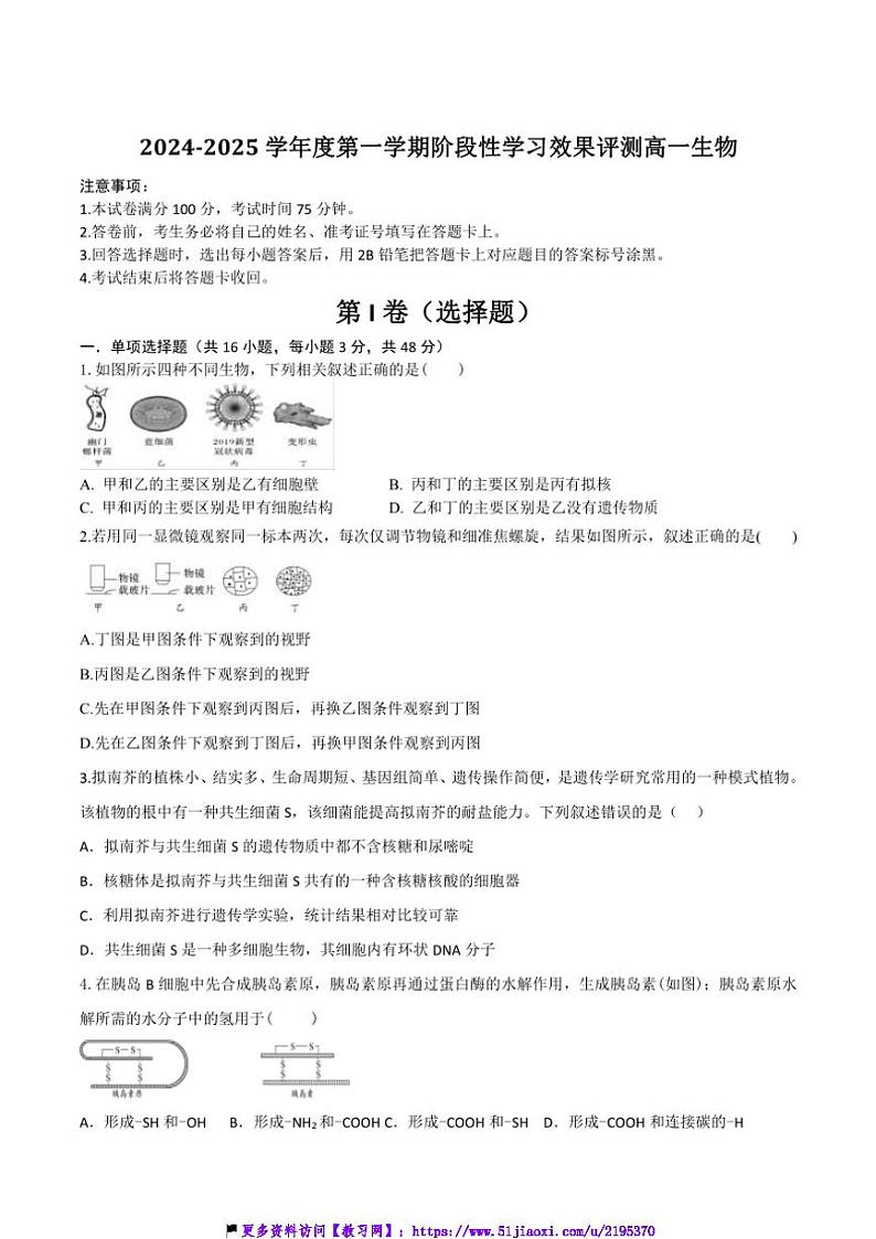 2024～2025学年陕西省西安市学校联考(月考)高一(上)12月月考生物试卷(含答案)第1页