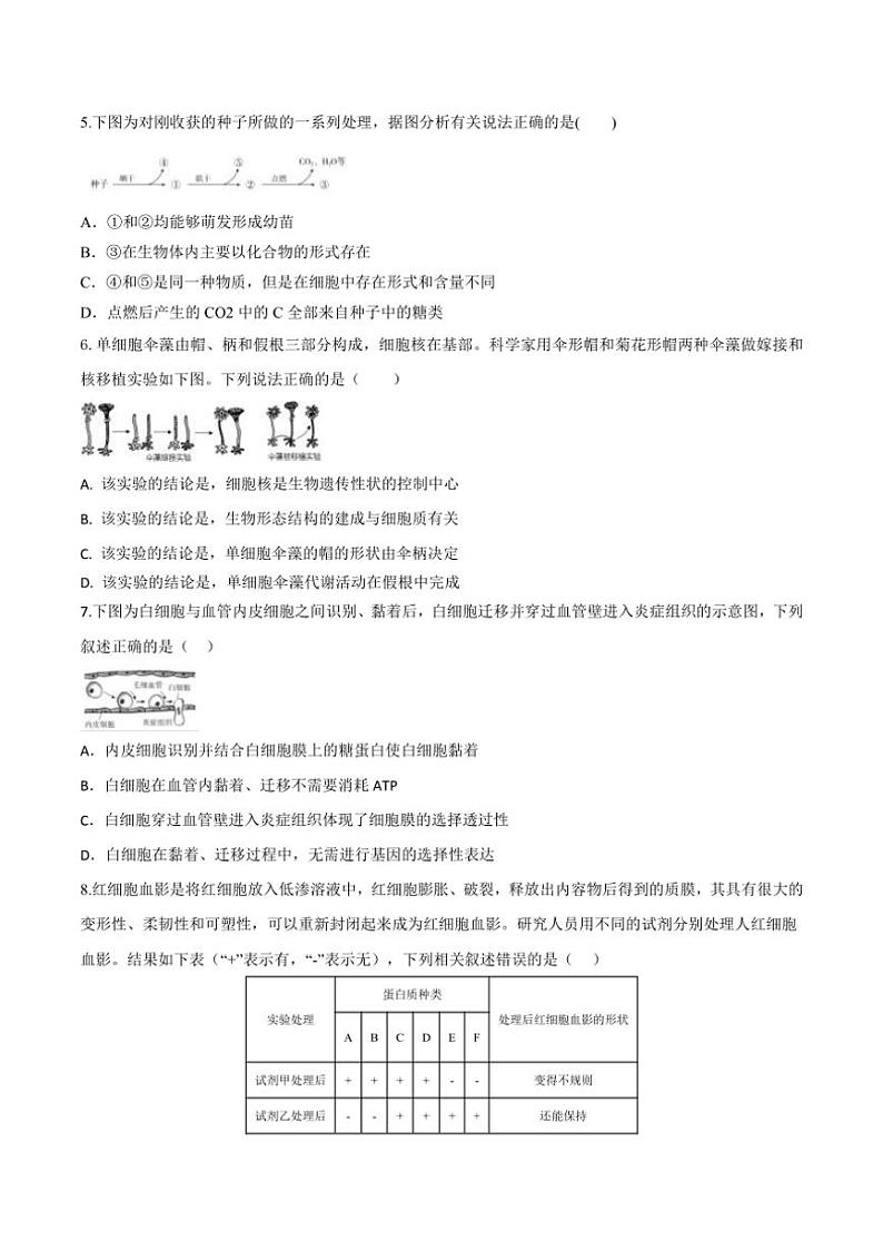 2024～2025学年陕西省西安市学校联考(月考)高一(上)12月月考生物试卷(含答案)第2页