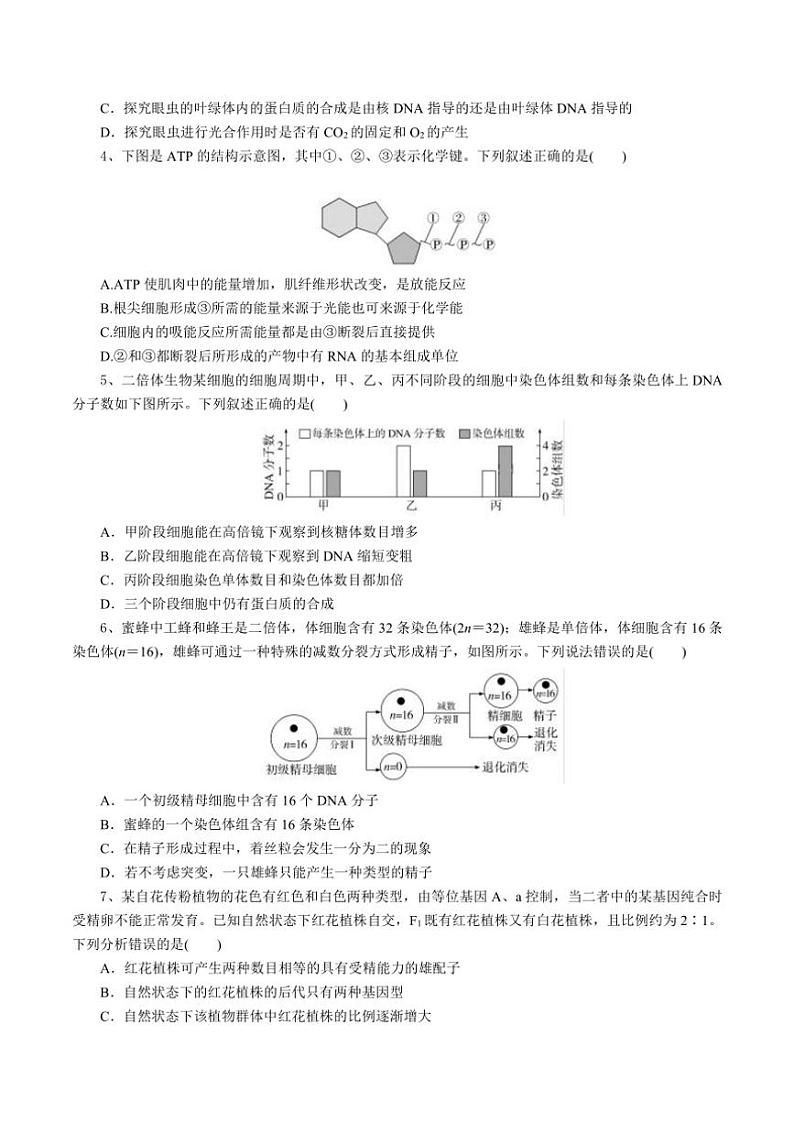2025届湖北省随州市高中高三(上)12月月考生物试卷(含答案)第2页