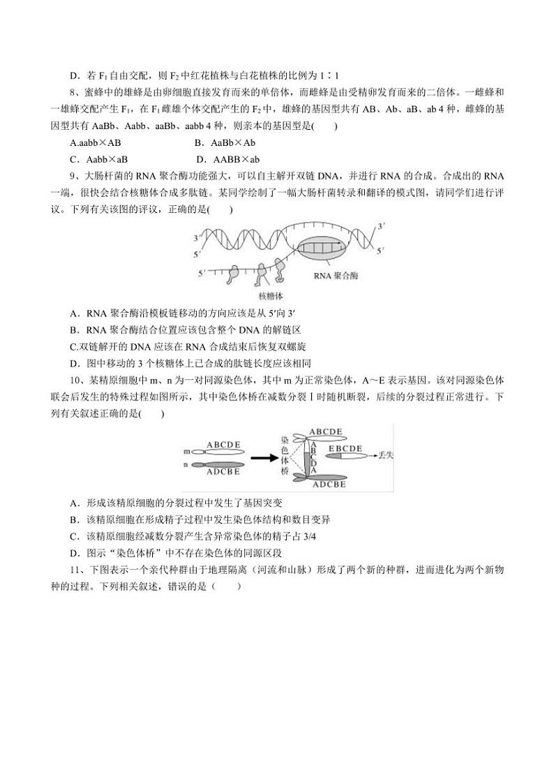 2025届湖北省随州市高中高三(上)12月月考生物试卷(含答案)第3页