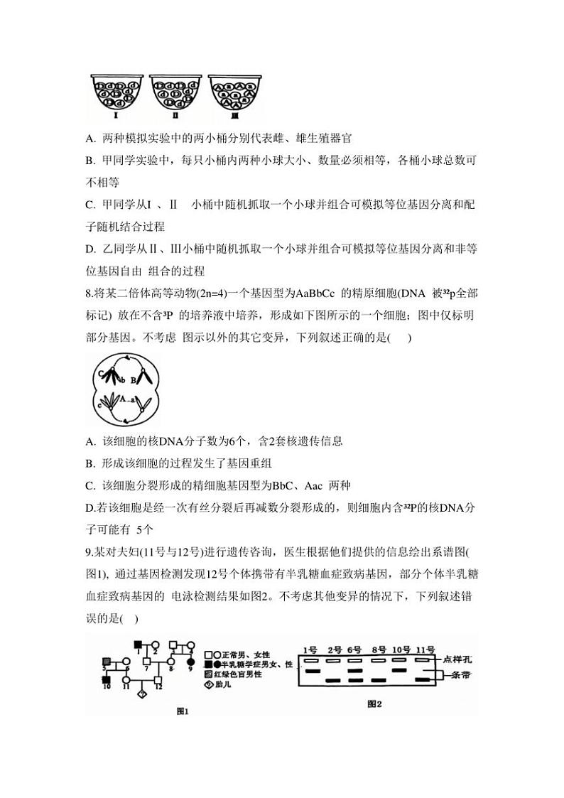 2024～2025学年安徽省六安市第二中学高三(上)12月月考生物试卷(含答案)第3页