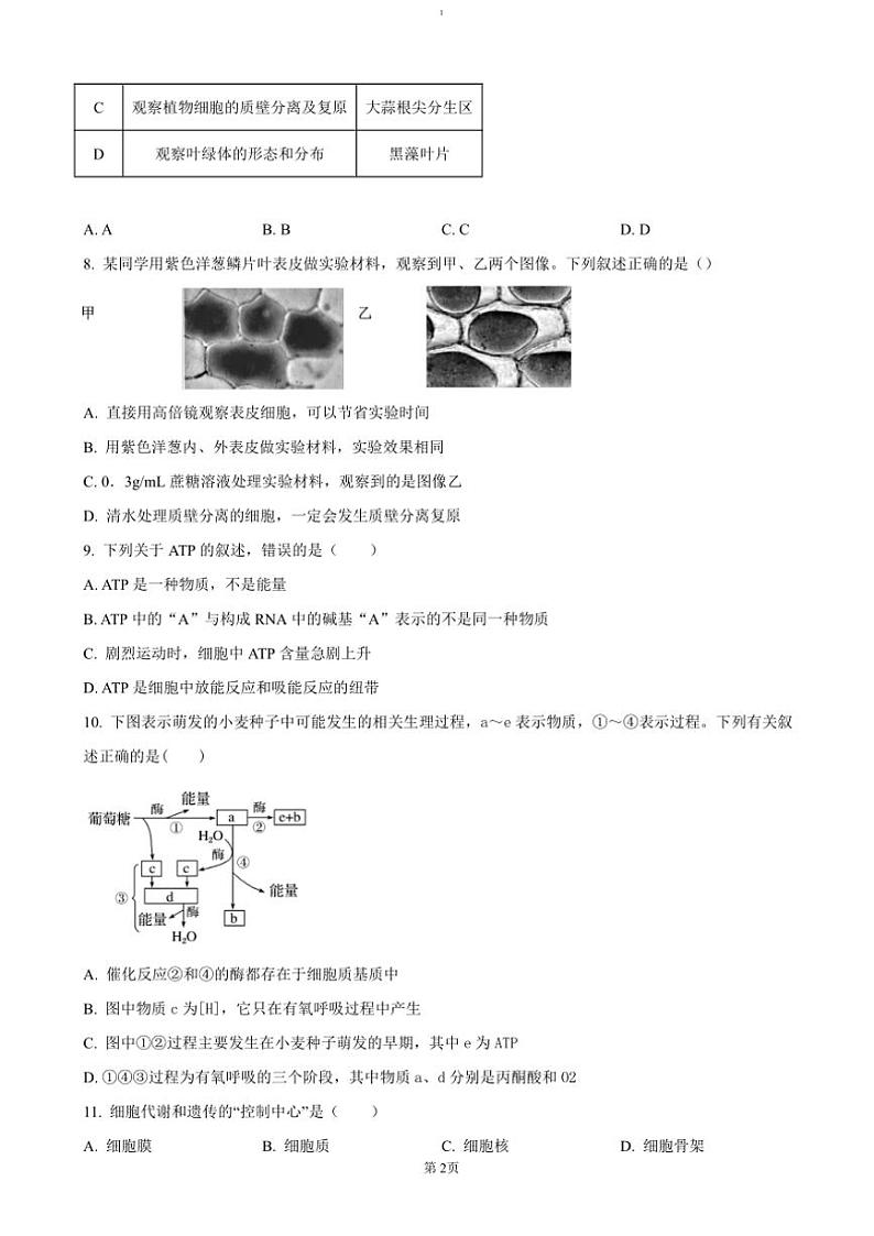 2024～2025学年湖南省娄底市涟源市学校高一(上)选科考试(12月联考(月考))生物试卷(含答案)第2页