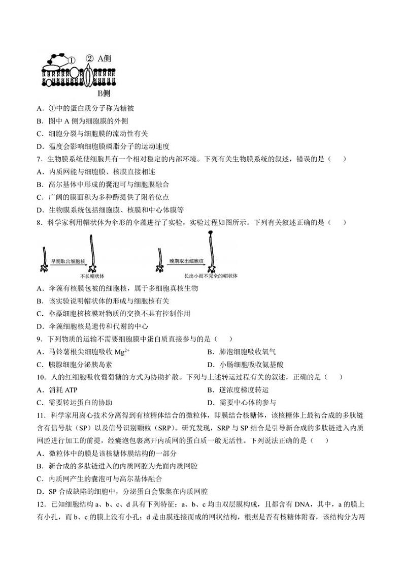2024～2025学年福建省龙岩市非一级达标校高一(上)期中生物试卷(含答案)第2页