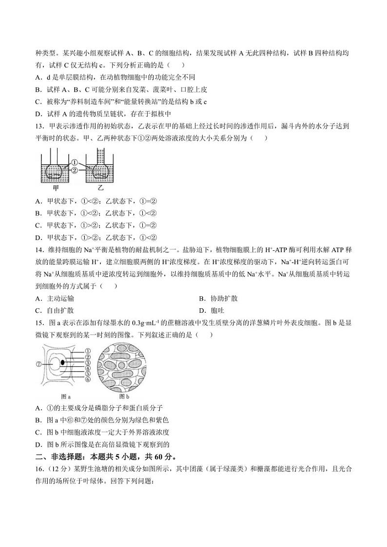 2024～2025学年福建省龙岩市非一级达标校高一(上)期中生物试卷(含答案)第3页