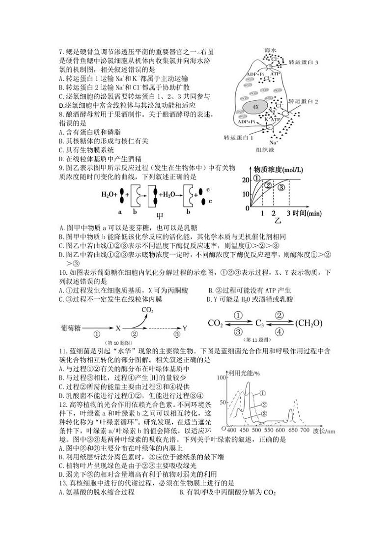 2024～2025学年江苏省南通市通州高一(上)第三次月考生物试卷(含答案)第2页