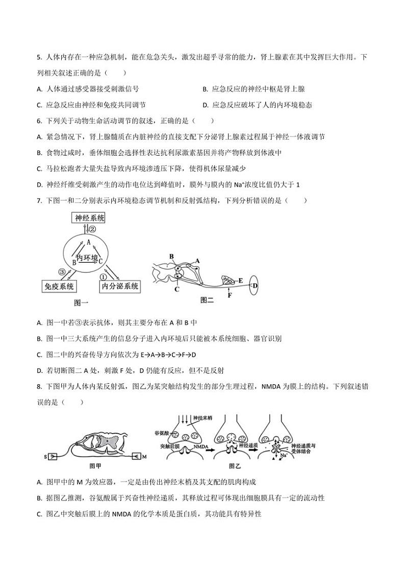2024～2025学年四川省绵阳市三台县高二(上)期中生物试卷(含答案)第2页