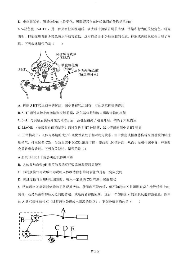 2024～2025学年安徽省六安市第二中学高二(上)期中生物试卷(含答案)第2页