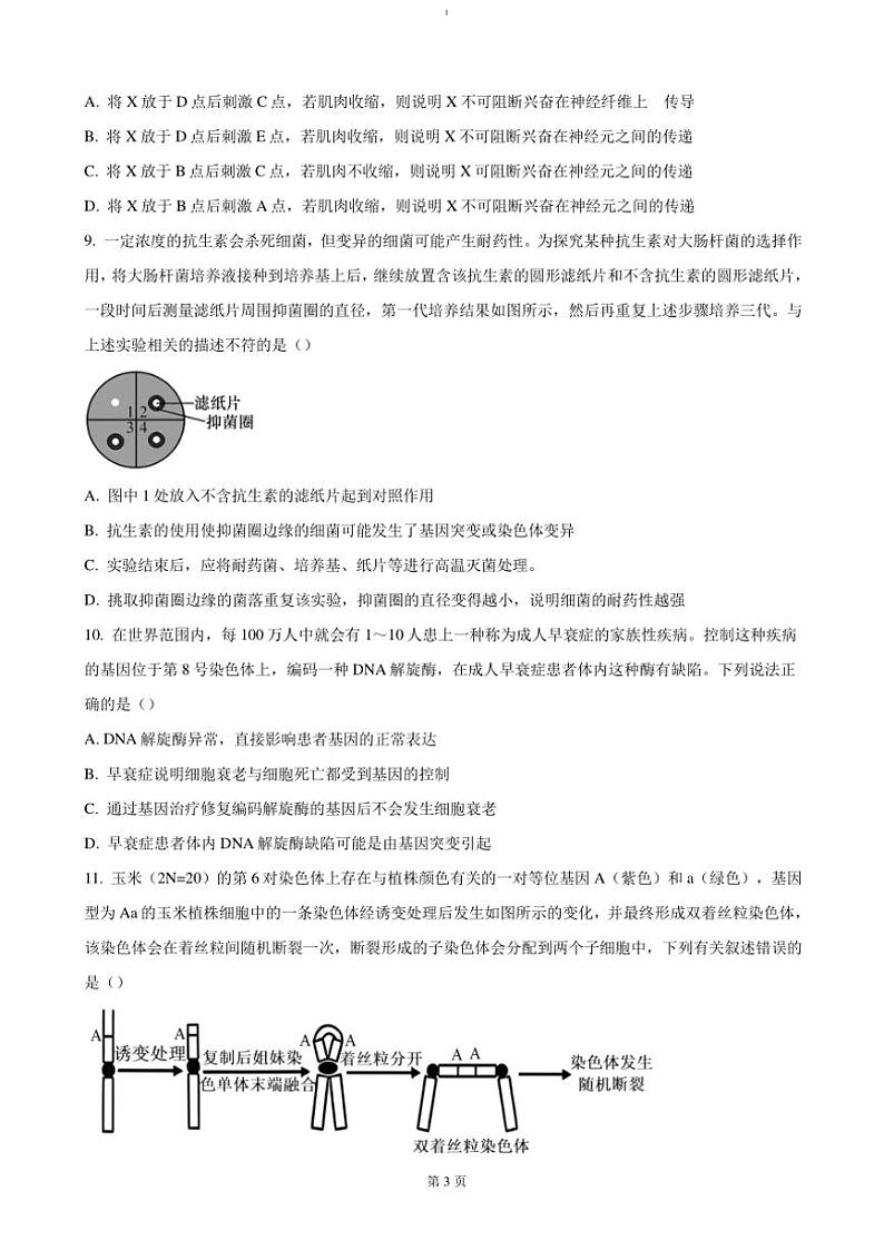 2024～2025学年安徽省六安市第二中学高二(上)期中生物试卷(含答案)第3页