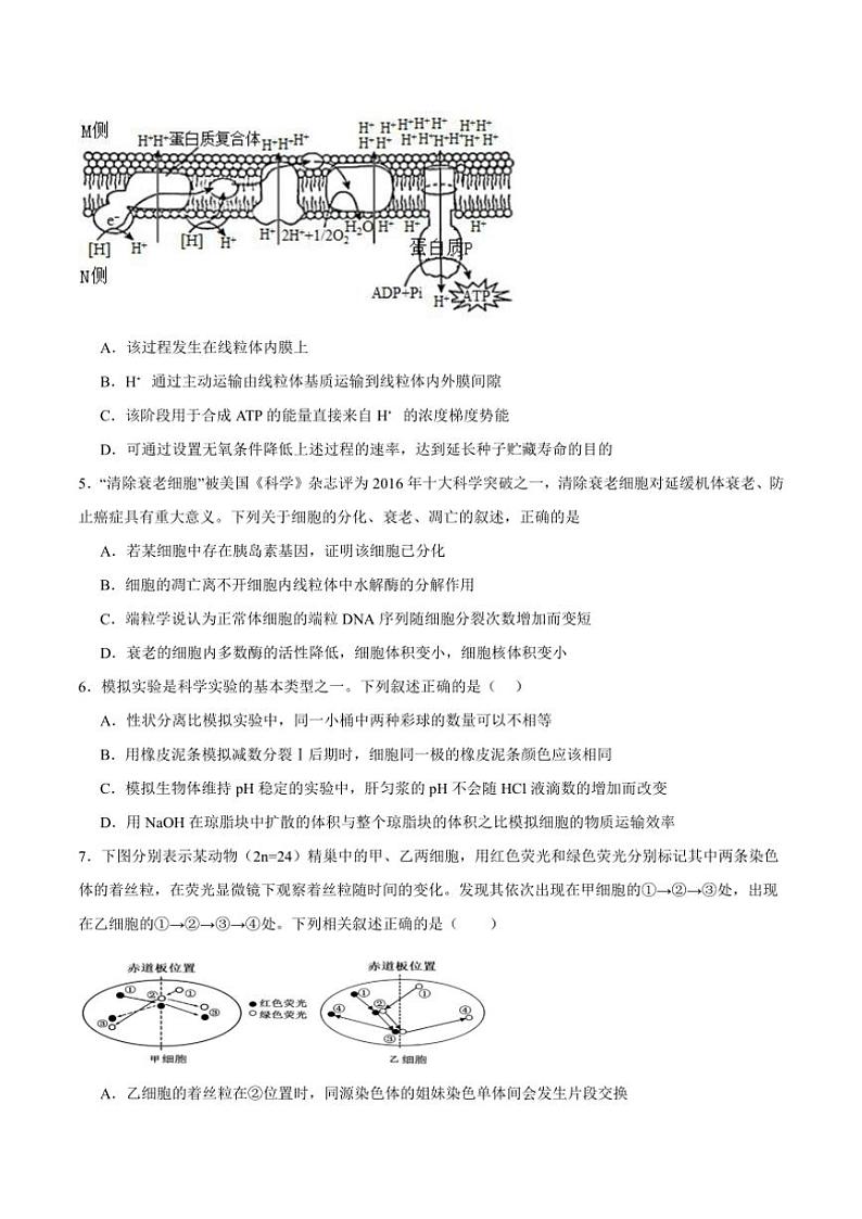 2025届江西省宜春市丰城中学高三(上)期中生物试卷(含答案)第2页