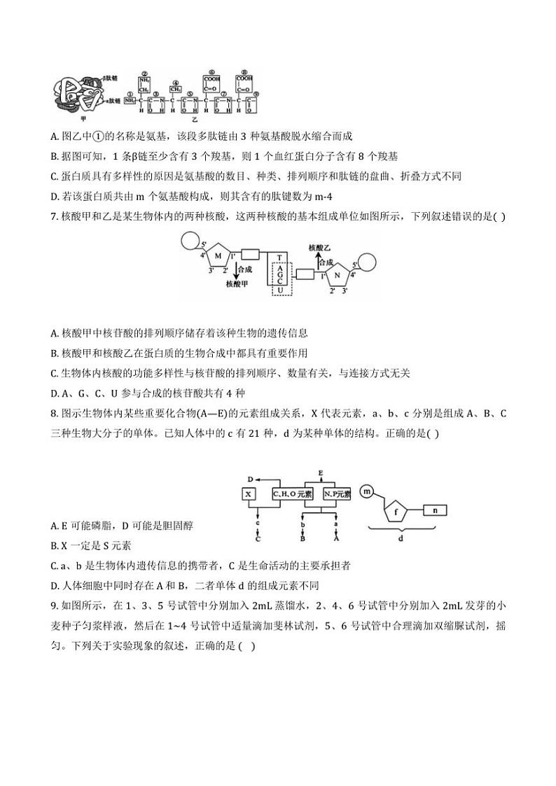 2024～2025学年天津市和平区天双菱中学高一(上)12月月考生物试卷(含答案)第2页