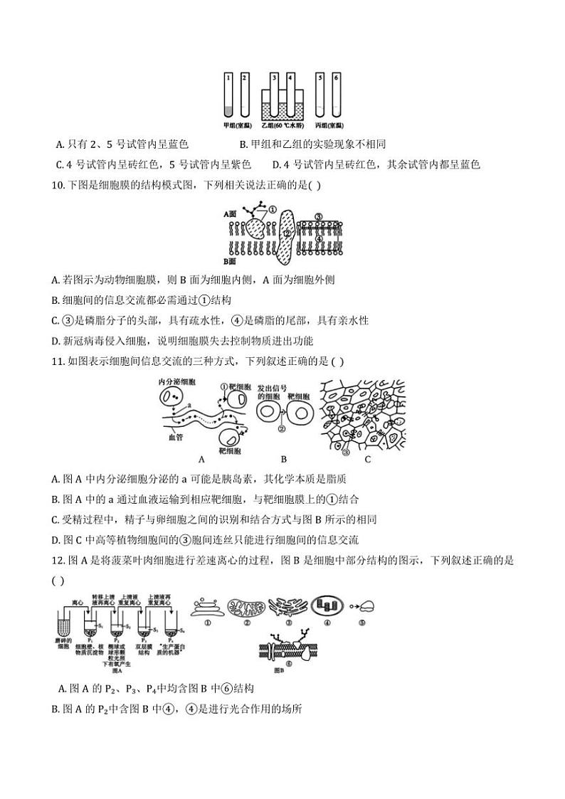 2024～2025学年天津市和平区天双菱中学高一(上)12月月考生物试卷(含答案)第3页