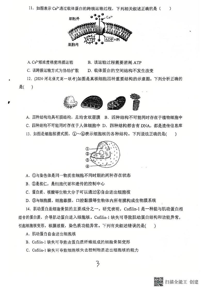 福建省三明市沙县区三明北附高级中学2024-2025学年高一上学期12月月考生物试题第3页