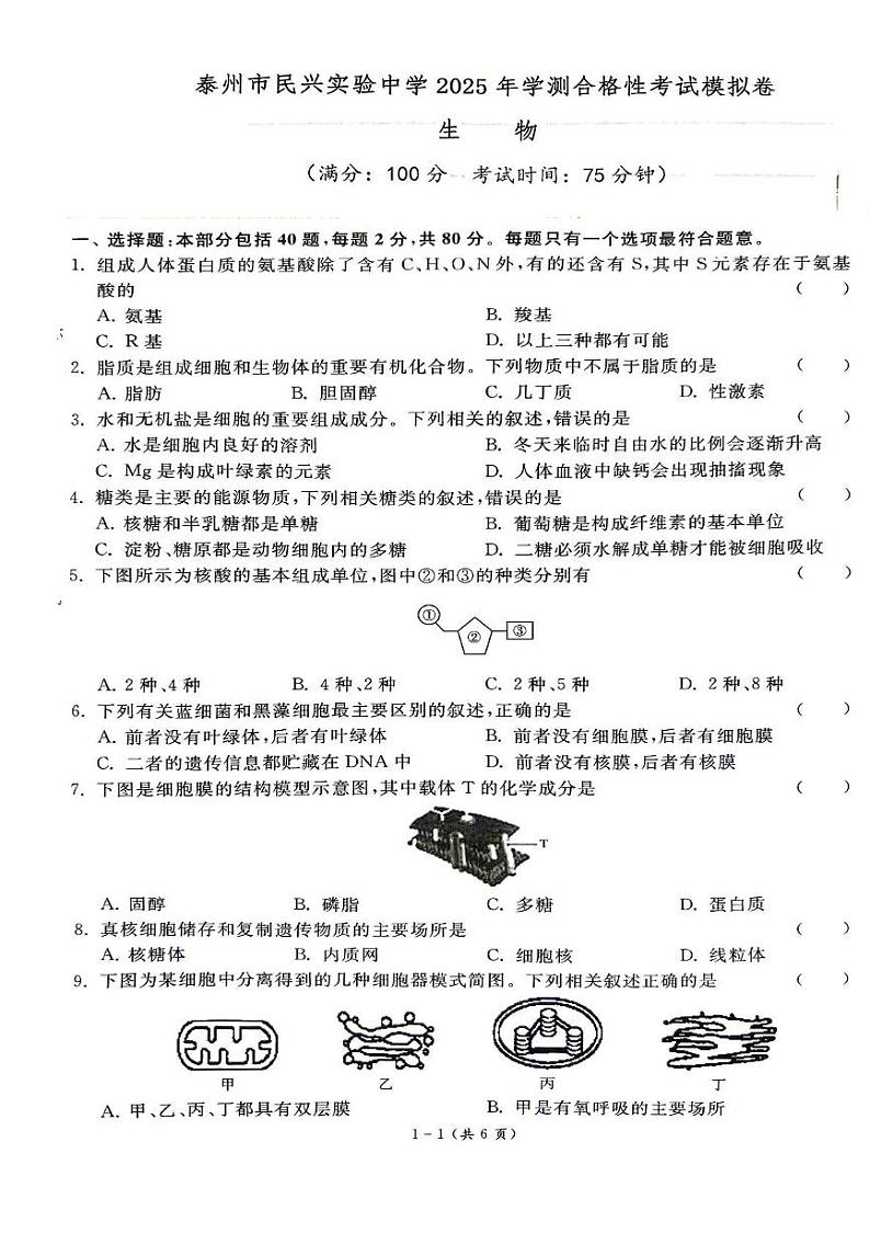江苏省泰州市海陵区民兴实验中学2024-2025学年高二上学期学业水平测试模拟生物试题第1页