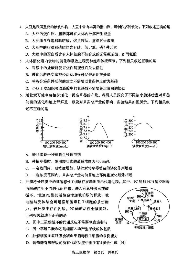 四川省攀枝花市2025届高三上学期第一次统一考试生物试卷（图片版）第2页