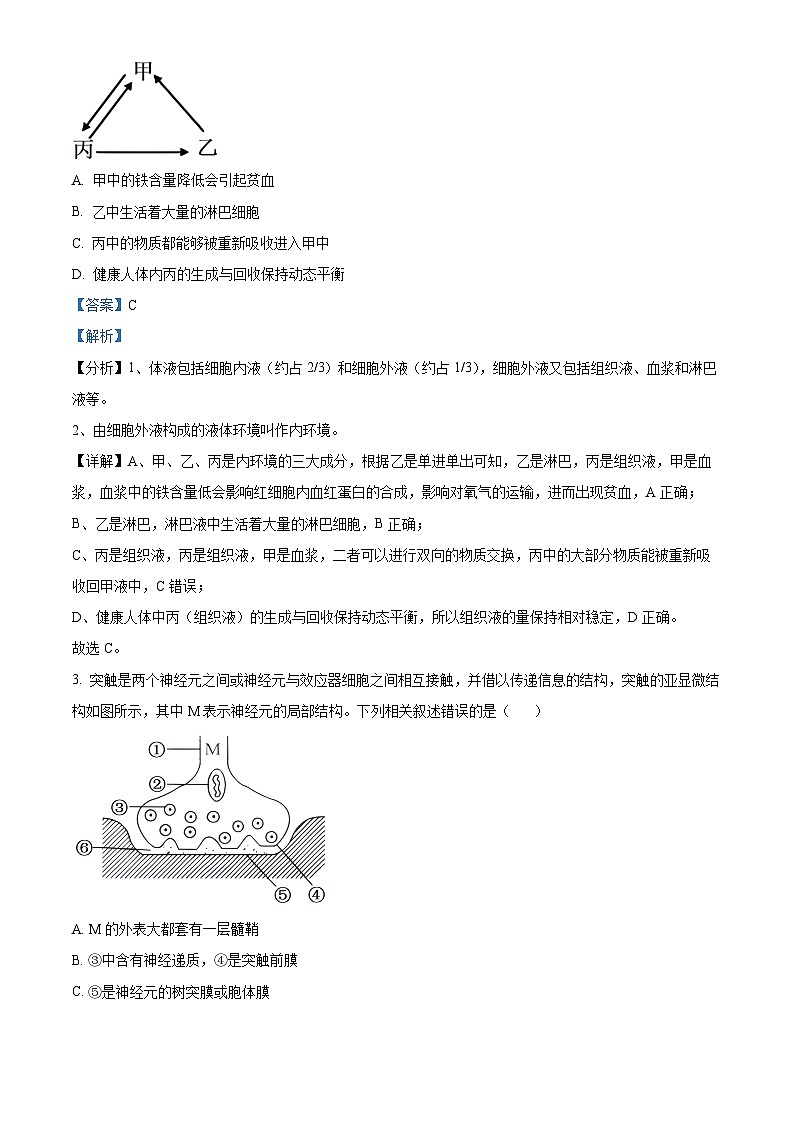 广西合浦县2024-2025学年高二上学期期中检测生物试题含解析第2页