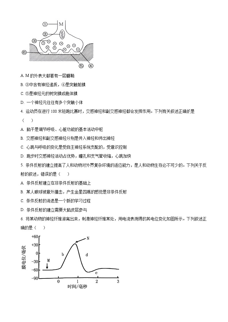 广西合浦县2024-2025学年高二上学期期中检测生物试题无答案第2页