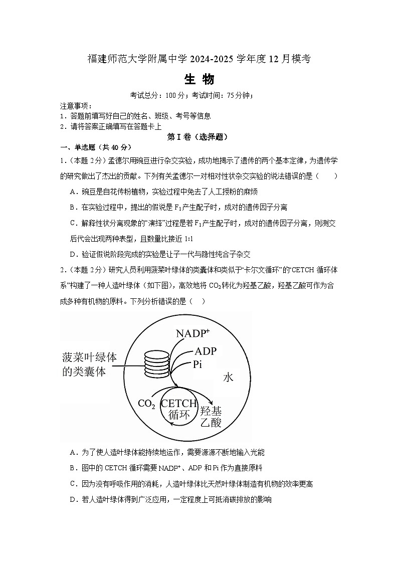 福建师范大学附属中学2024-2025学年高三上学期12月模拟考试生物试卷（Word版附答案）第1页
