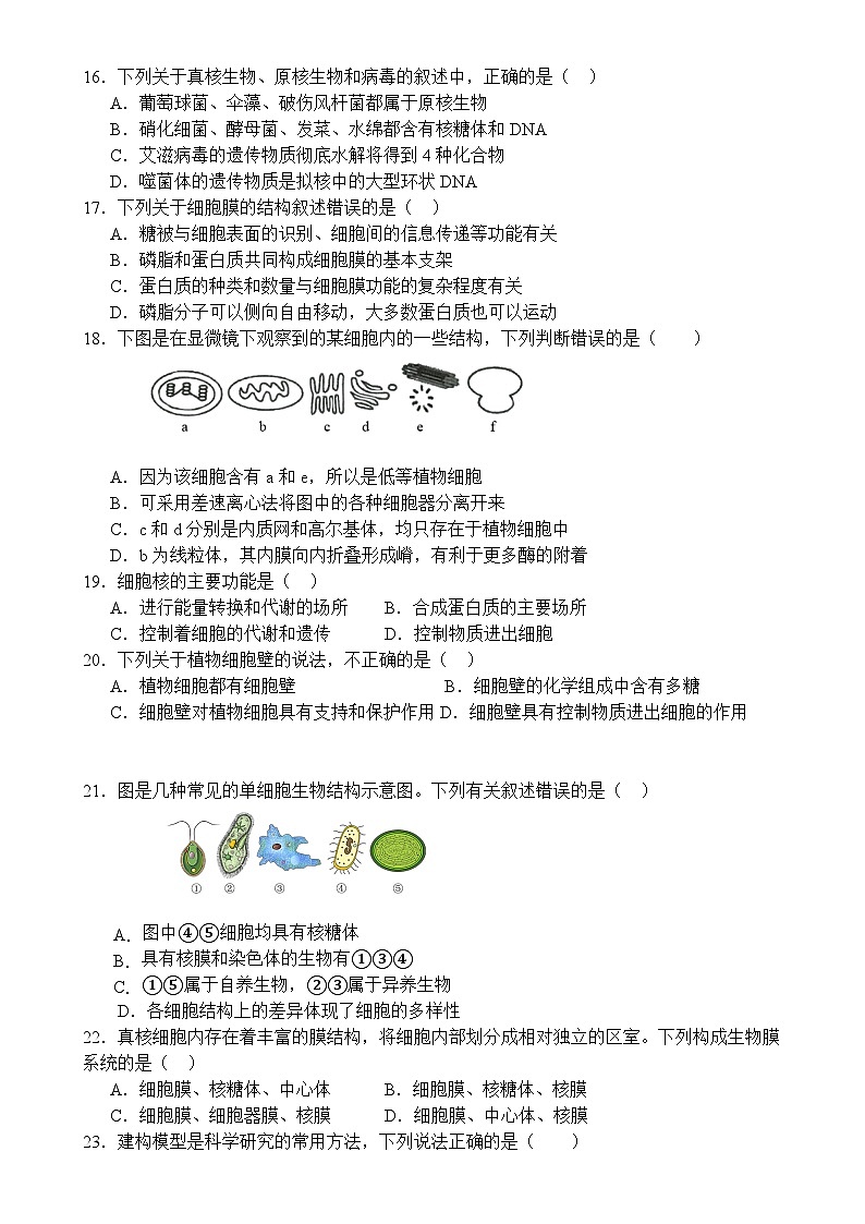 四川省南充市白塔中学2024-2025学年高一上学期第三次月考（12月）生物试题 -A4第3页