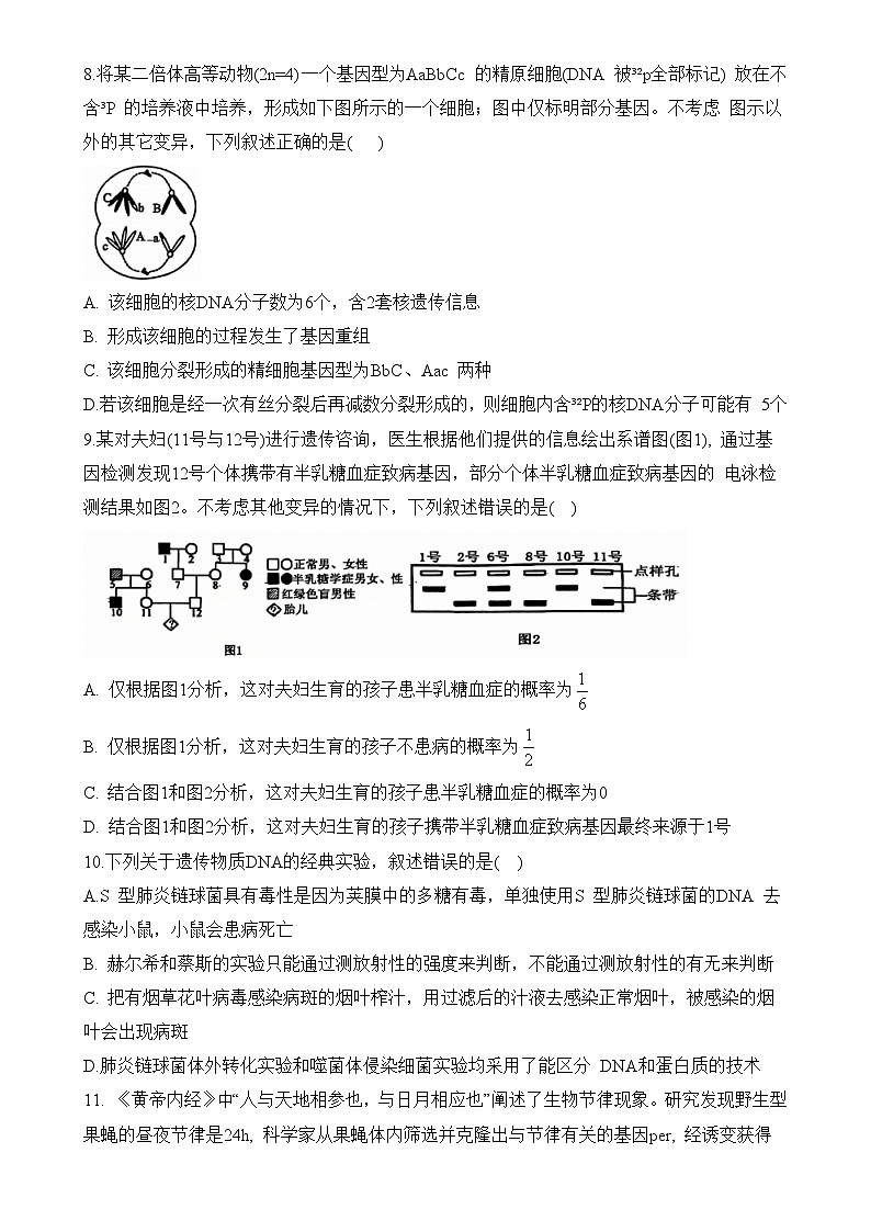 安徽省六安市第二中学2024-2025学年高三上学期12月月考生物试题-A4第3页