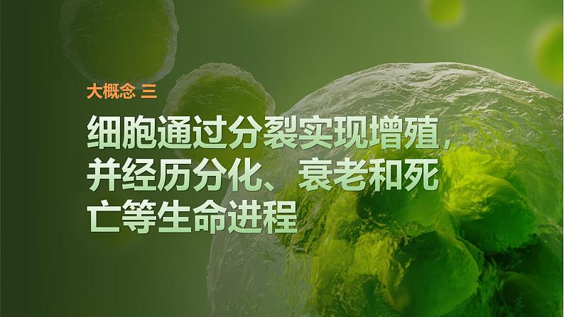 课时1　细胞增殖、分化、衰老和死亡等生命进程第1页