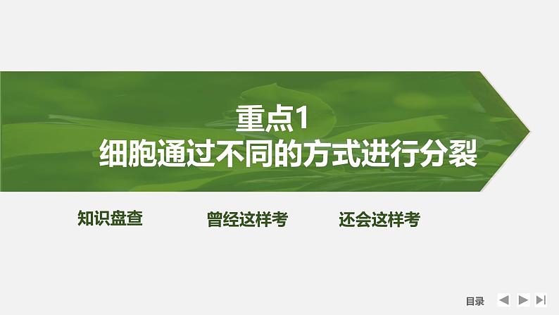 课时1　细胞增殖、分化、衰老和死亡等生命进程第6页