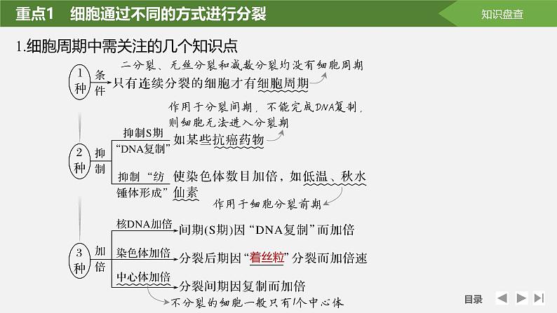 课时1　细胞增殖、分化、衰老和死亡等生命进程第7页