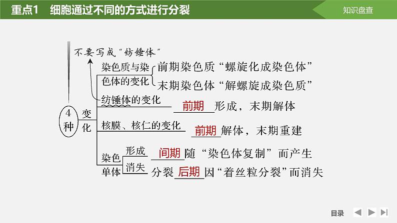 课时1　细胞增殖、分化、衰老和死亡等生命进程第8页