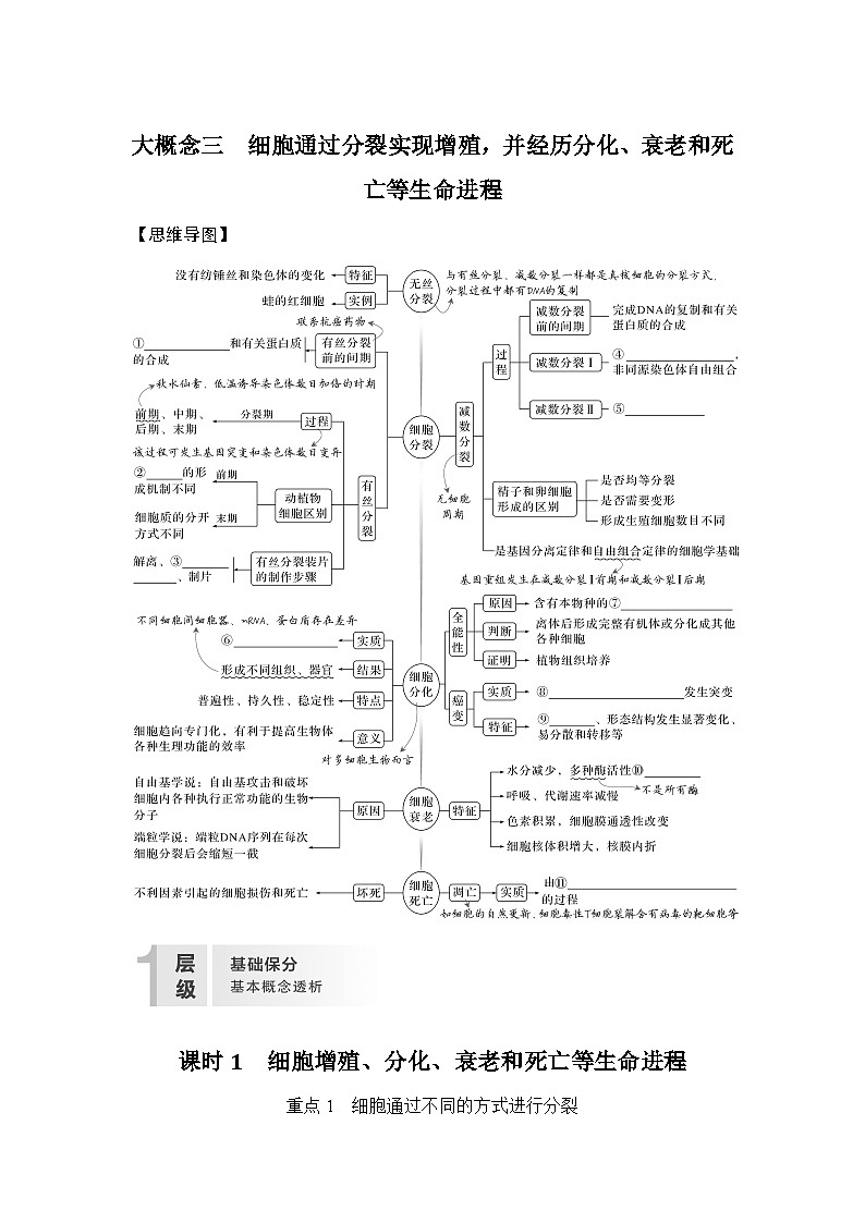 课时1　细胞增殖、分化、衰老和死亡等生命进程  学案（含答案）第1页