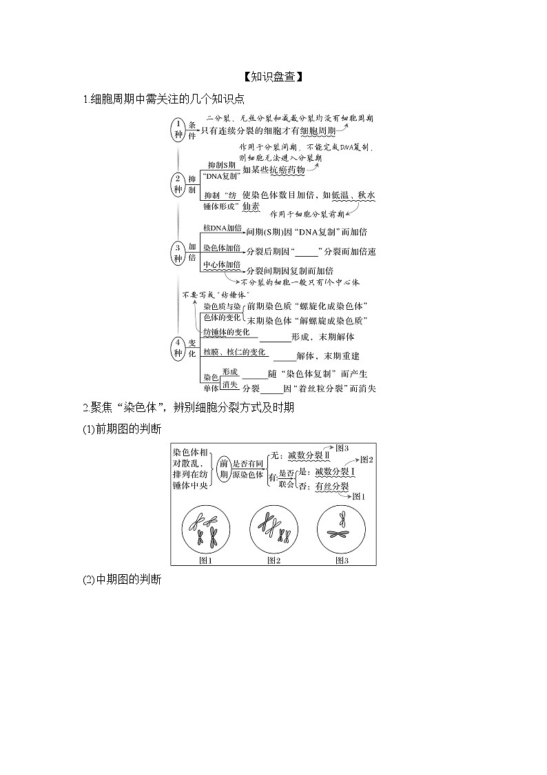 课时1　细胞增殖、分化、衰老和死亡等生命进程  学案（含答案）第2页