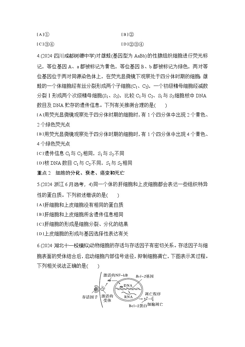 限时练7  细胞增殖、分化、衰老和死亡等生命进程    练习（含解析）第2页