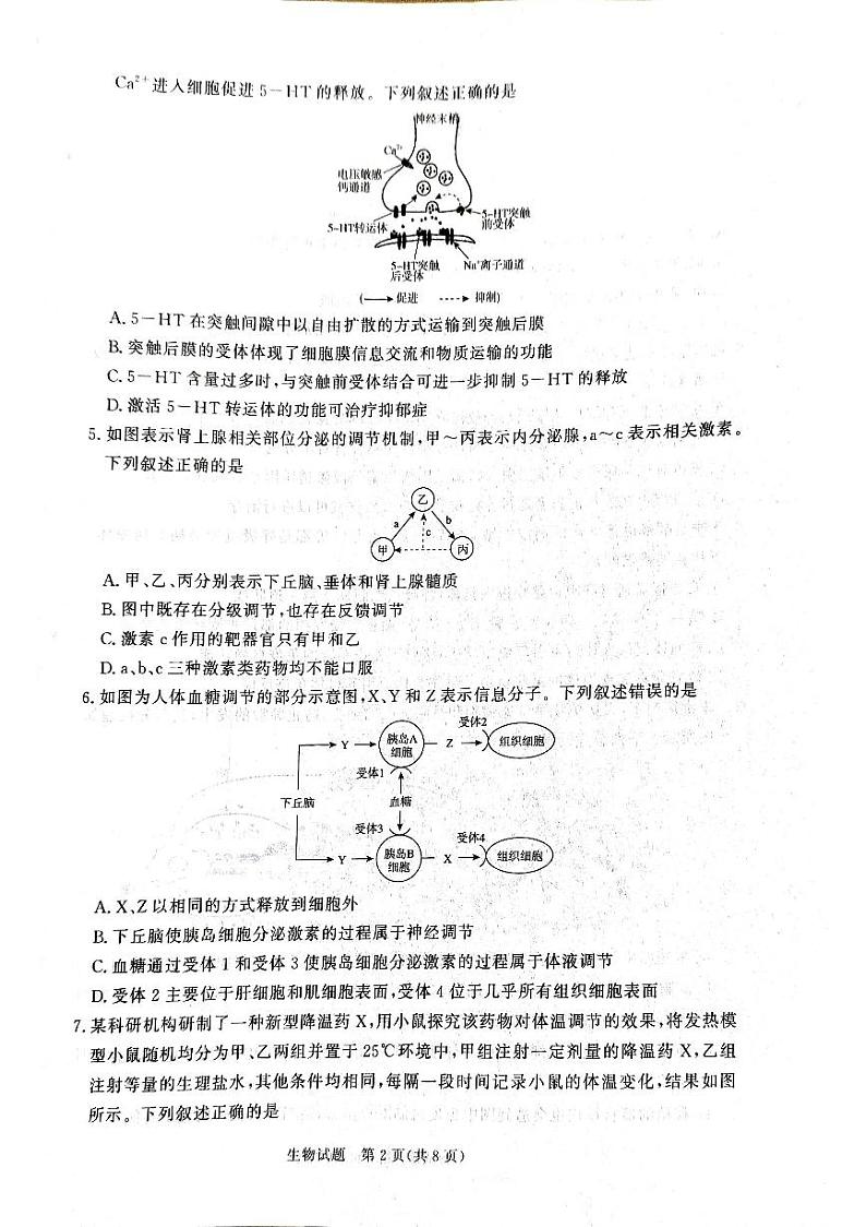 河南省青桐鸣大联考2024-2025学年高二上学期12月月考生物试卷（PDF版附解析）第2页