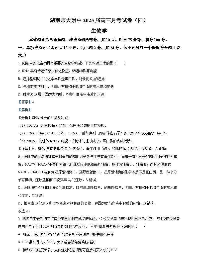 湖南省长沙市湖南师范大学附属中学2024-2025学年高三上学期月考卷（四）生物试题 Word版含解析第1页
