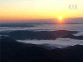 高中生物人教版選擇性必修2《種群的數(shù)量特征》課件