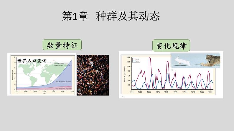 高中生物人教版选择性必修2《种群的数量特征》课件第3页