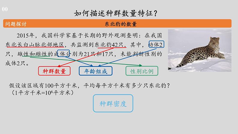 高中生物人教版选择性必修2《种群的数量特征》课件第5页